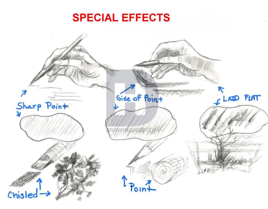 923x720 how to draw realistic mushrooms, step - Special Effects Drawing