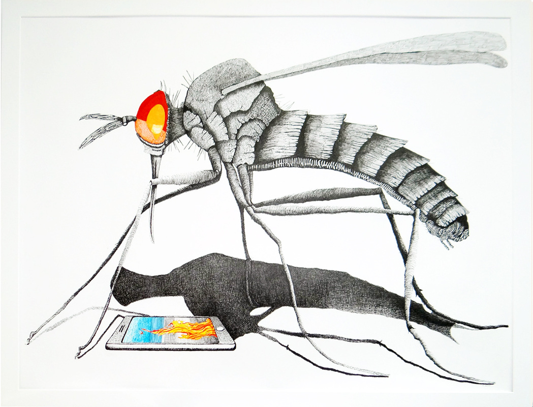 1049x800 Drawing - Species Drawing