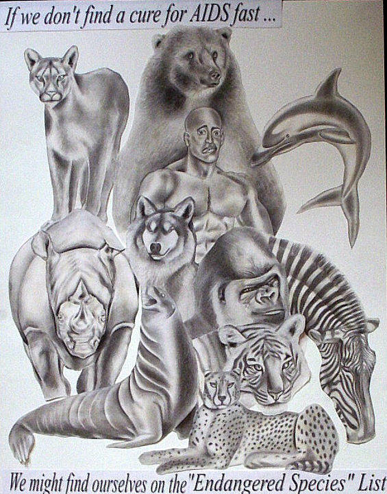 565x720 Endangered Species Drawing - Species Drawing