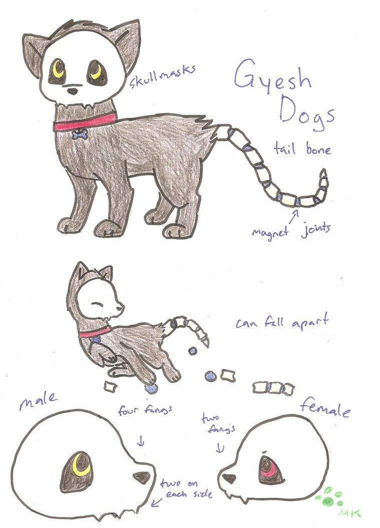 759x1053 New Species Gyesh Dog - Species Drawing