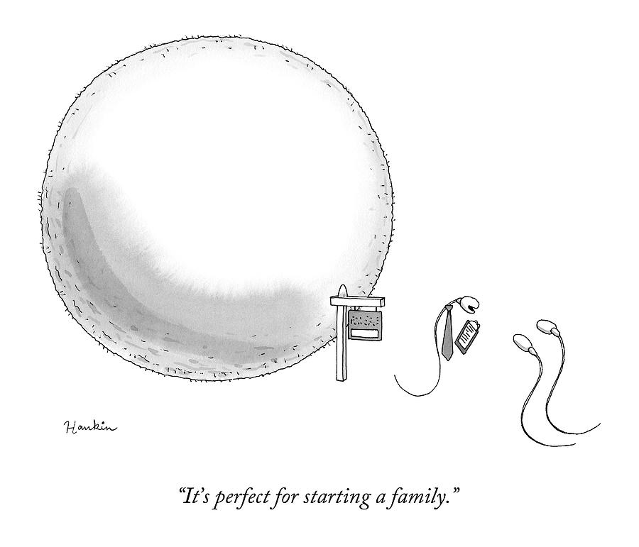 Sperm Drawing
