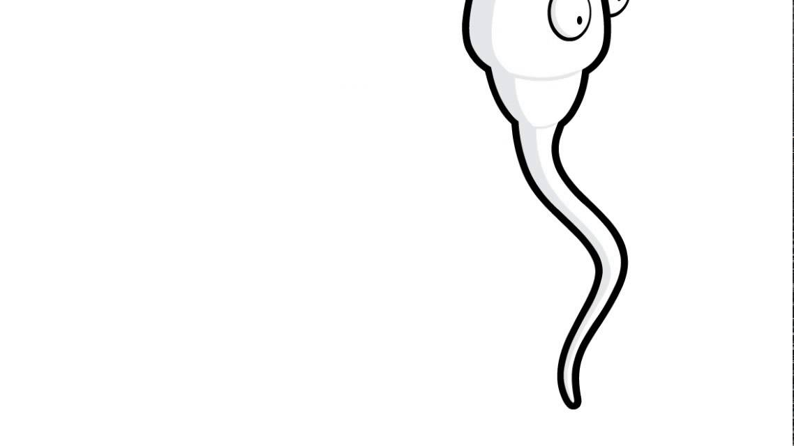How To Draw Sperm - Sperm Drawing. 