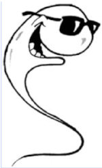 150x245 sana salih, md, semen analysis, ivf, insemination, pcos - Sperm Drawing