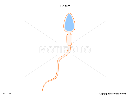 500x375 Sperm Illustrations - Sperm Drawing