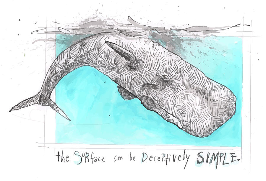 900x613 Sperm Whale Drawing - Sperm Drawing