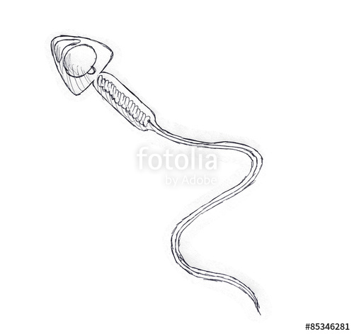 500x471 Sperm Drawing Stock Photo And Royalty Free Images - Sperm Drawing