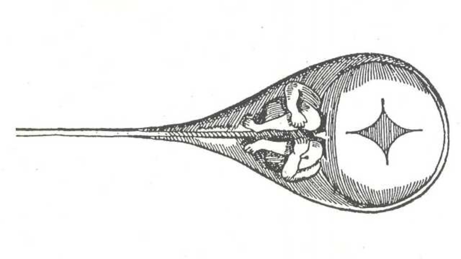 1600x900 when scientists belived there was a little man inside every sperm cell - Sperm Drawing
