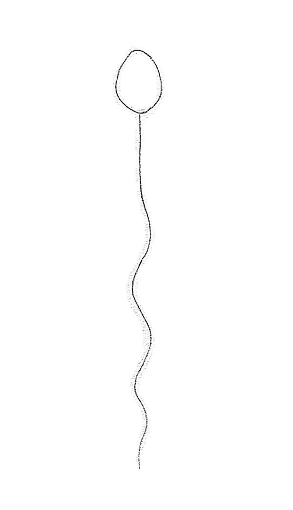 600x1043 draw it neat how to draw sperm cell - Sperm Drawing