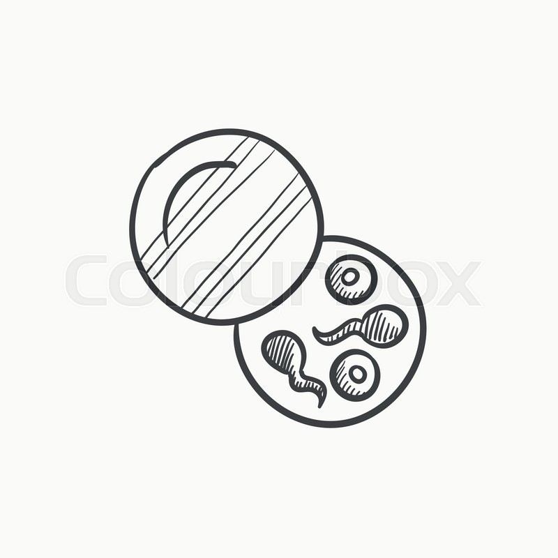 800x800 Donor Sperm Vector Sketch Icon Stock Vector Colourbox - Sperm Drawing