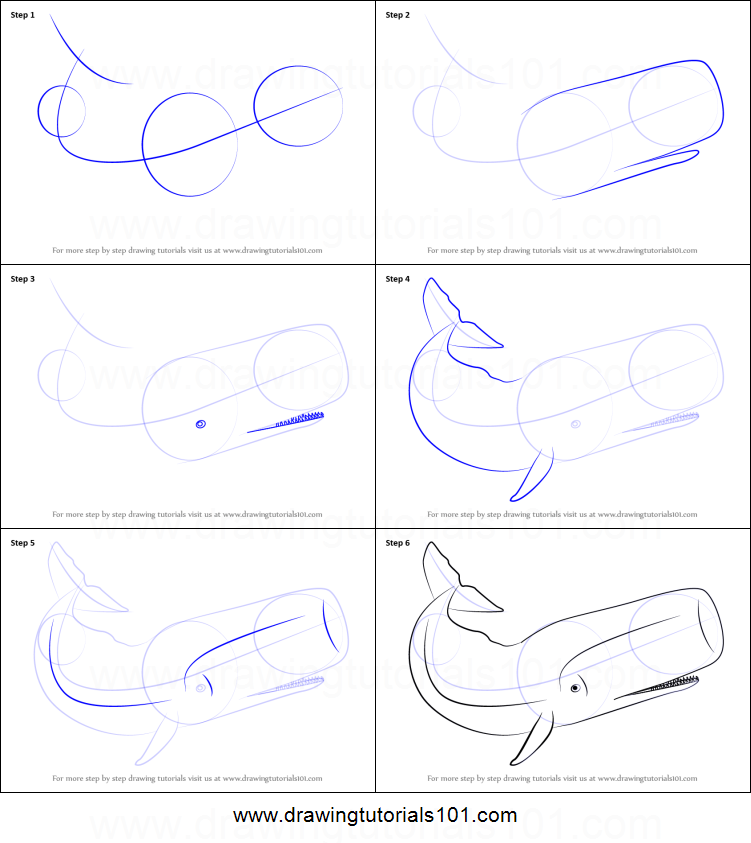 751x843 How To Draw A Sperm Whale Printable Step - Sperm Whale Drawing