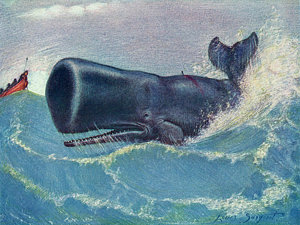 300x225 Sperm Whale Drawings Fine Art America - Sperm Whale Drawing