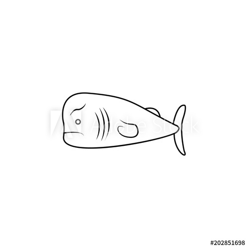 500x500 sperm whale illustration element of sea animal for mobile concept - Sperm Whale Line Drawing