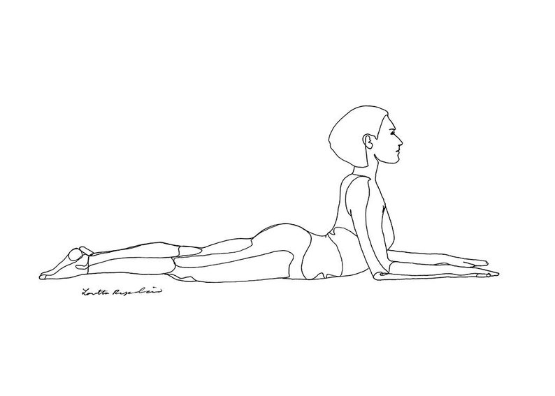 794x567 Sphinx Pose Salamba Bjujangasana Yoga Line Drawing Etsy - Sphinx Drawing