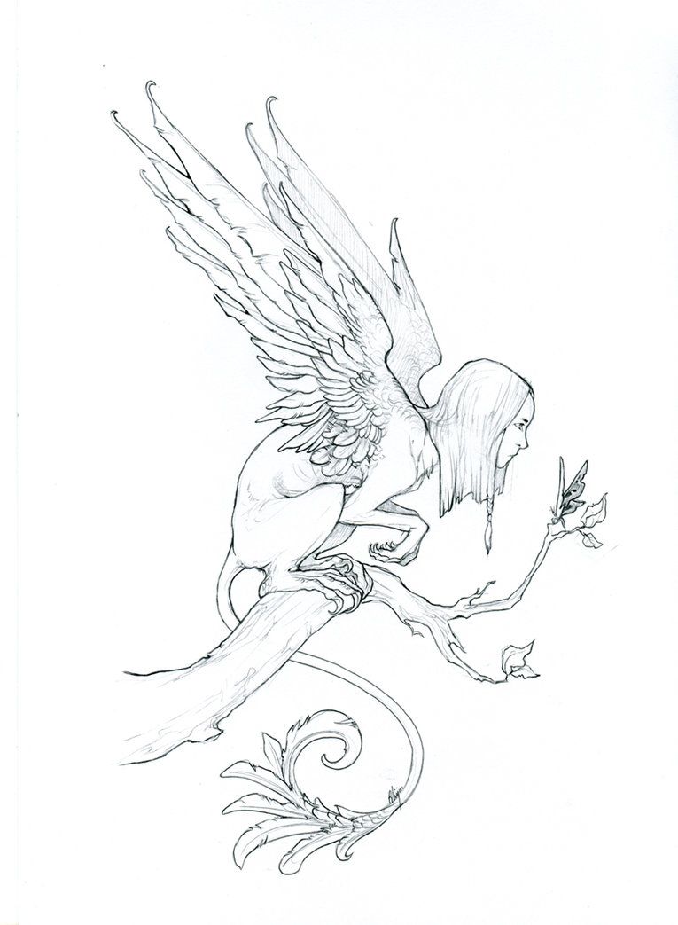 765x1043 Le Sphinx Et Le Papillon - Sphinx Mythical Creature Drawing