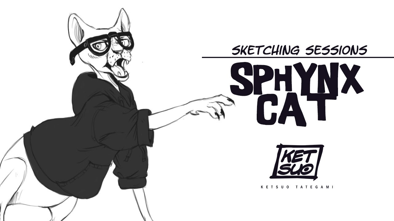 1280x720 sketchbook prodrawing from reference sphynx cat - Sphynx Cat Drawing