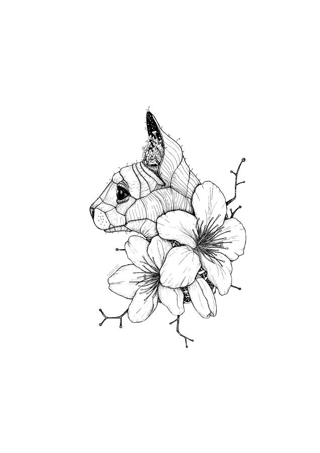 636x900 sphynx cat and sakura blossoms drawing - Sphynx Cat Drawing