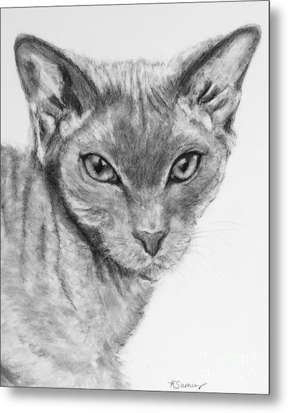 418x600 sphynx cat drawing drawing - Sphynx Cat Drawing