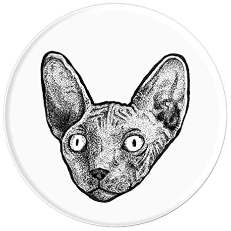 466x466 cool sphynx cat hand drawn tattoo style illustration - Sphynx Cat Drawing
