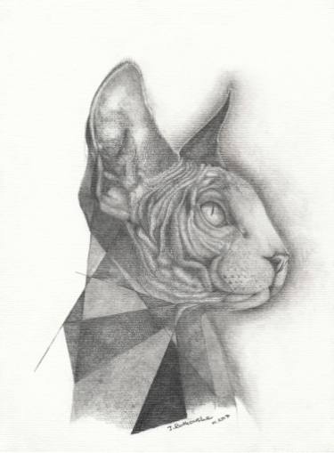 375x509 sphynx cat drawing - Sphynx Cat Drawing