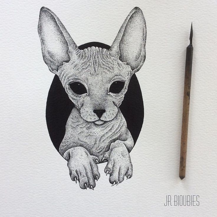 736x736 sphynx cat tattoo drawing bitcoin stock chart month - Sphynx Cat Drawing