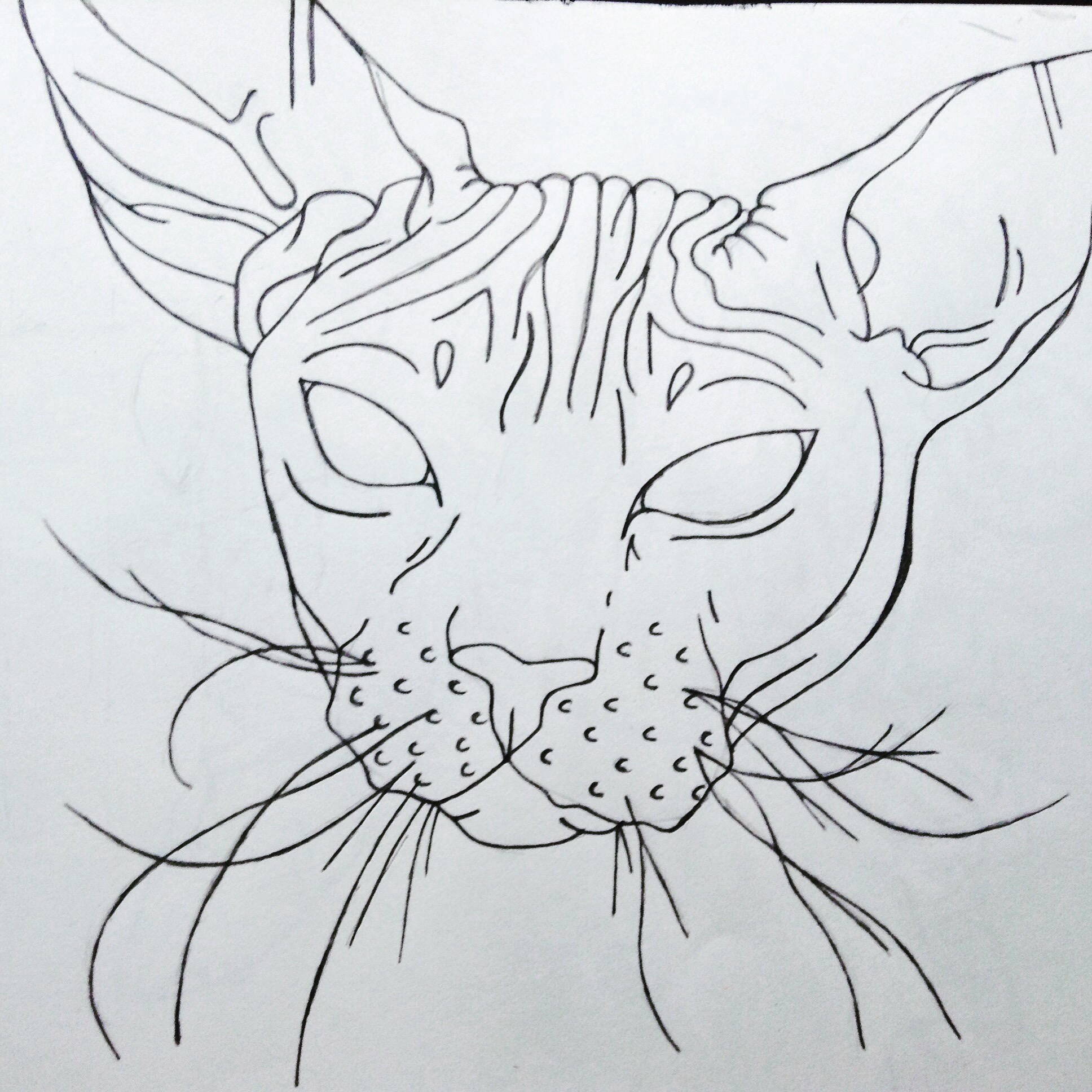 1936x1936 fine liner sphynx cat drawing - Sphynx Cat Drawing