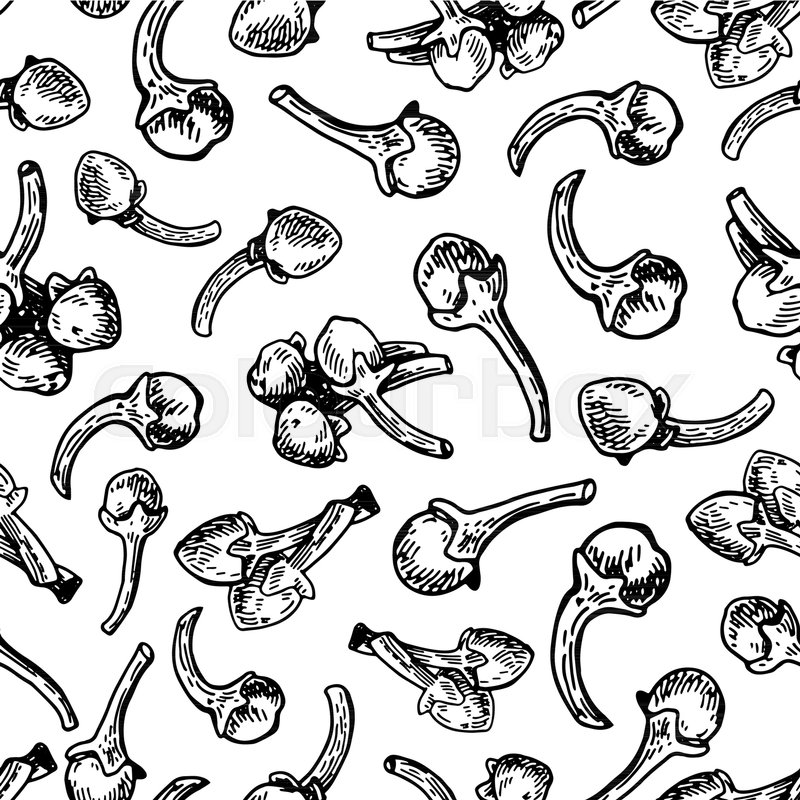 800x800 Clove Seamless Pattern Vector Stock Vector Colourbox - Spice Drawing