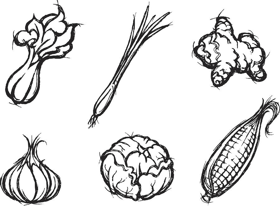 900x664 Vegetable And Spice Sketch Drawing - Spice Drawing