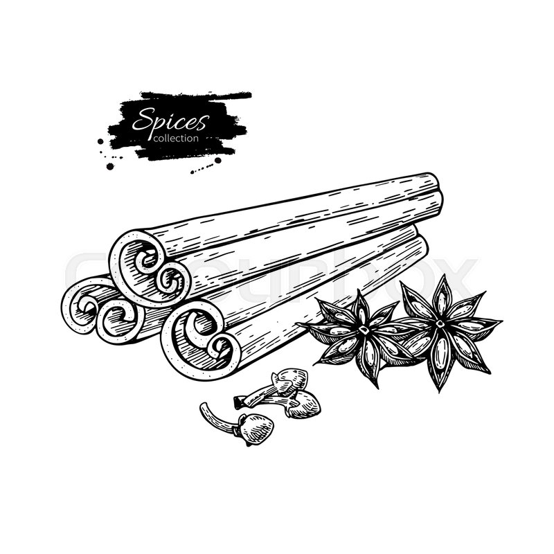 800x800 Cinnamon Stick Tied Bunch, Anise Star Stock Vector Colourbox - Spice Drawing