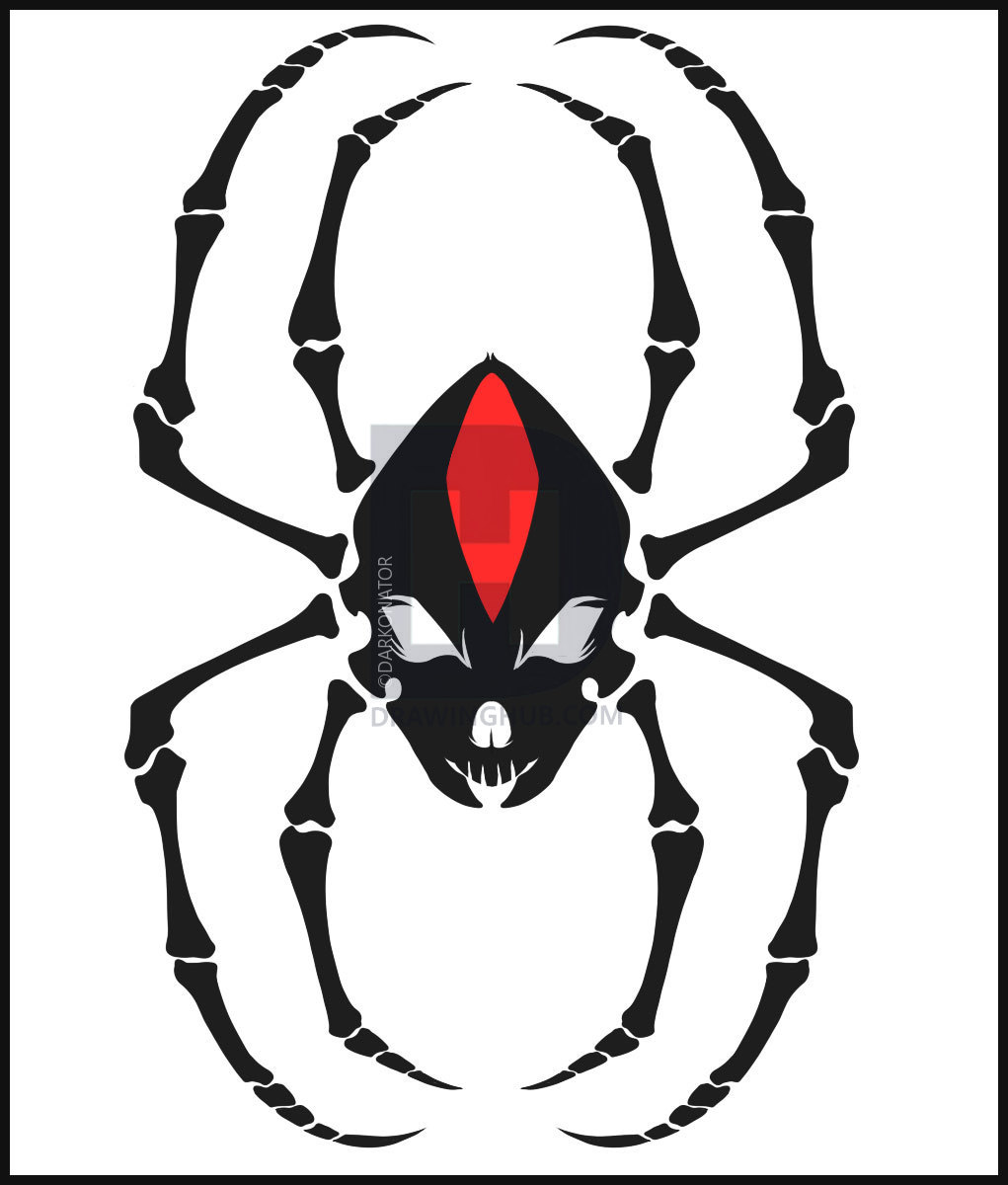 1021x1200 How To Draw A Spider Skull, Step - Spider Drawing