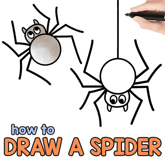700x700 How To Draw A Spider - Spider Drawing