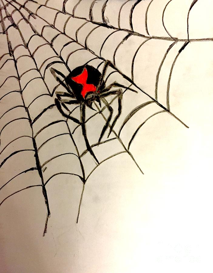 Spider Drawing at Explore collection of Spider Drawing