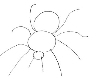 300x258 How To Draw A Spider - Spider Drawing Easy