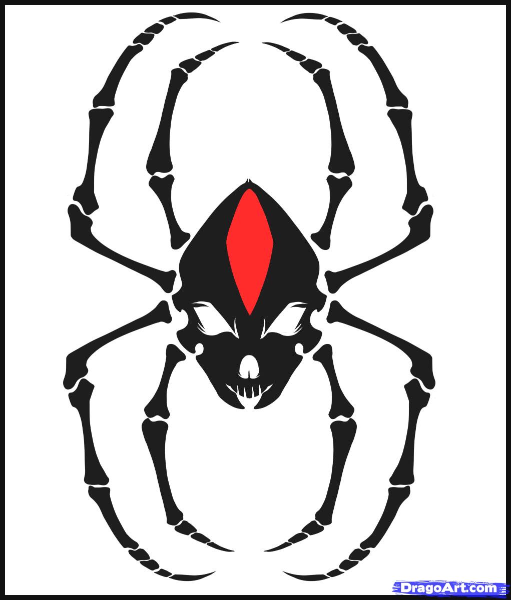 1021x1200 How To Draw A Spider Skull, Step - Spider Drawing Easy