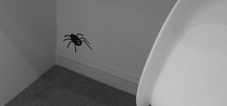 770x360 The Legged Spider Salecycle Blog - Spider Drawing Email