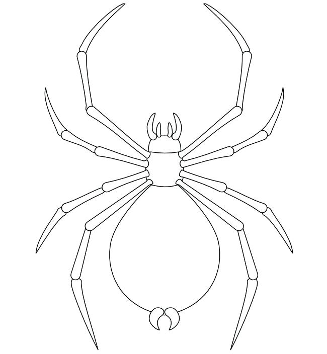 650x704 Easy Spider Drawing Drawn Spider Web Easy Draw Easy Drawing - Spider Drawing For Kids