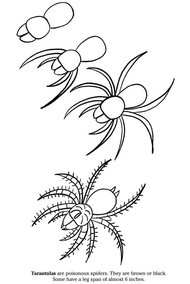 650x970 Toddler Drawing Spider For Free Download - Spider Drawing For Kids