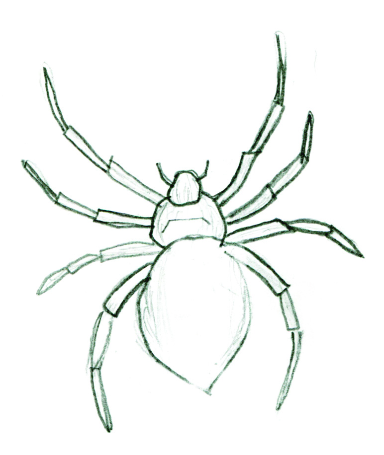 Картинки нарисованного паука. Паук крестовик рисунок. Рисунки пауков карандашом. Паук рисунок легкий. Лёгкие рисунки паука.