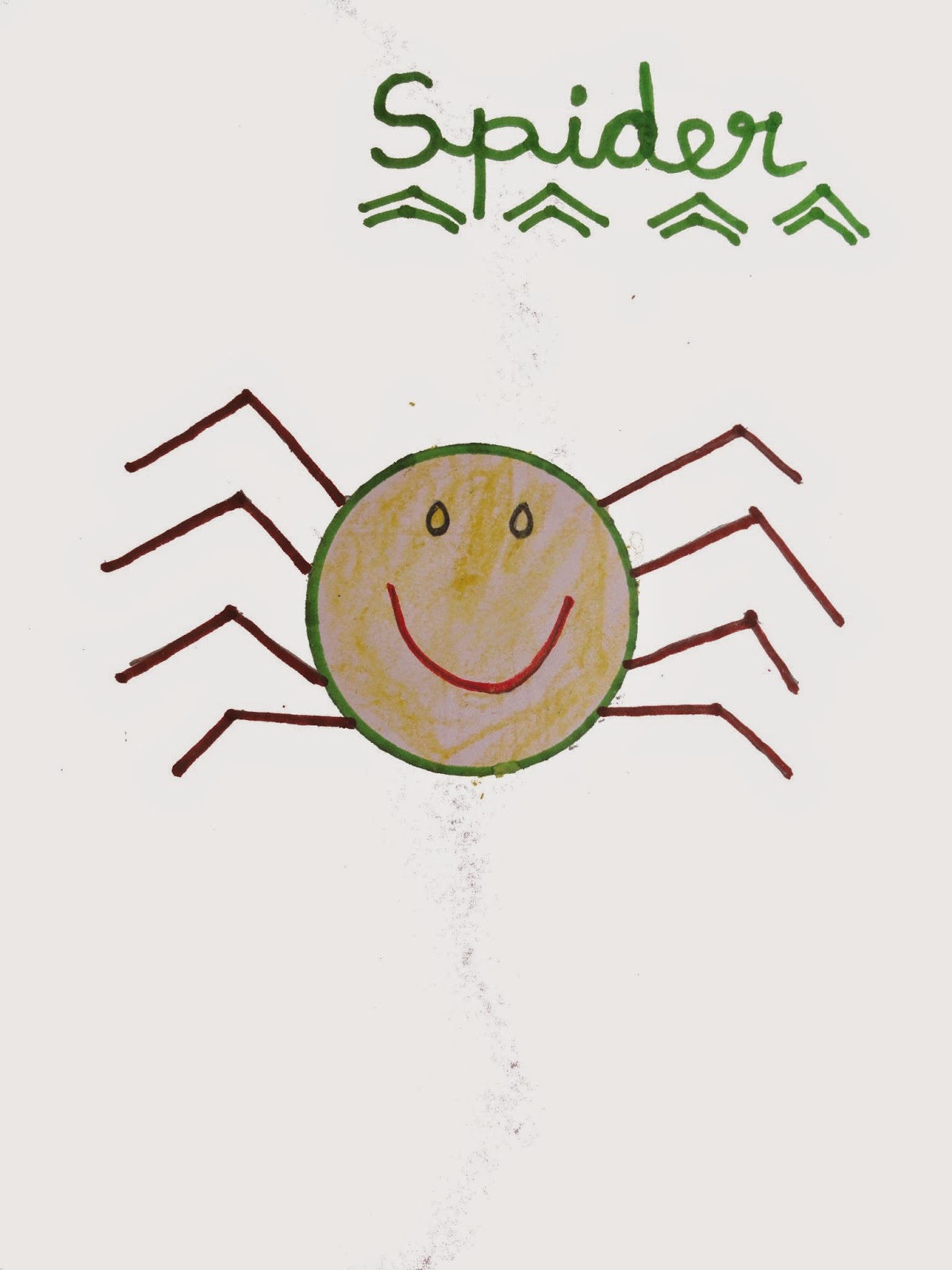 1200x1600 Spider Drawing And Facts Virtual Kidspace - Spider Drawing For Kids