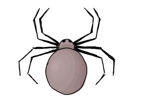 300x200 How To Draw A Simple Spider - Spider Drawing Step By Step