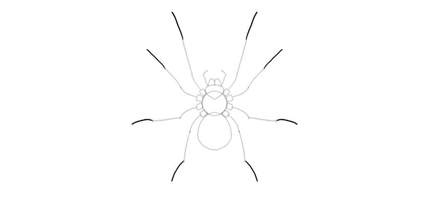 850x391 How To Draw A Spider, Step - Spider Drawing Step By Step