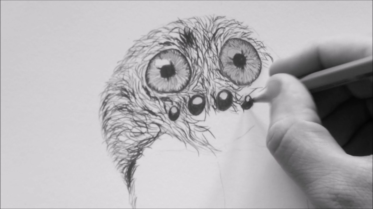 1280x720 How To Draw A Spider Face With Human Eyes - Spider Face Drawing