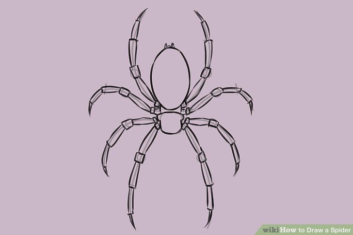 728x485 Ways To Draw A Spider - Spider Face Drawing
