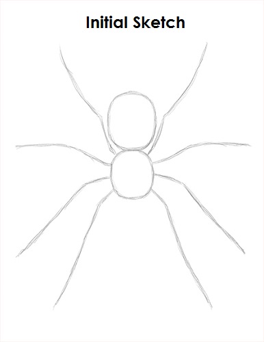 386x500 How To Draw A Spider - Spider Line Drawing