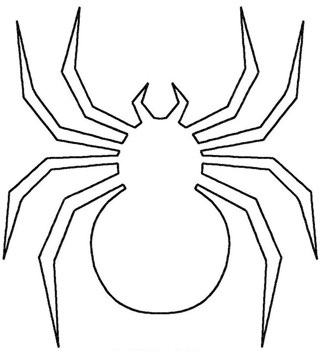Spider Line Drawing at Explore collection of