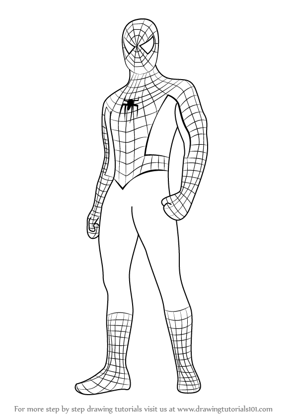 598x844 How To Draw Spiderman Standing Step - Spider Man For Drawing