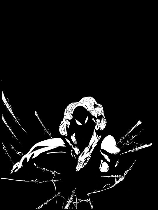 542x720 Spider Man Bampw - Spider Man Ink Drawing