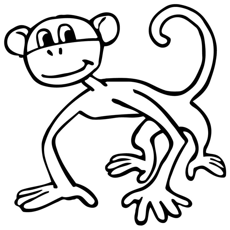 736x736 Monkeys Spider Monkey Transparent Png Clipart Free Download - Spider Monkey Drawing
