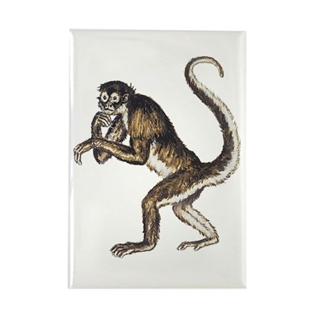 460x460 Spider Monkey Drawing Magnets - Spider Monkey Drawing
