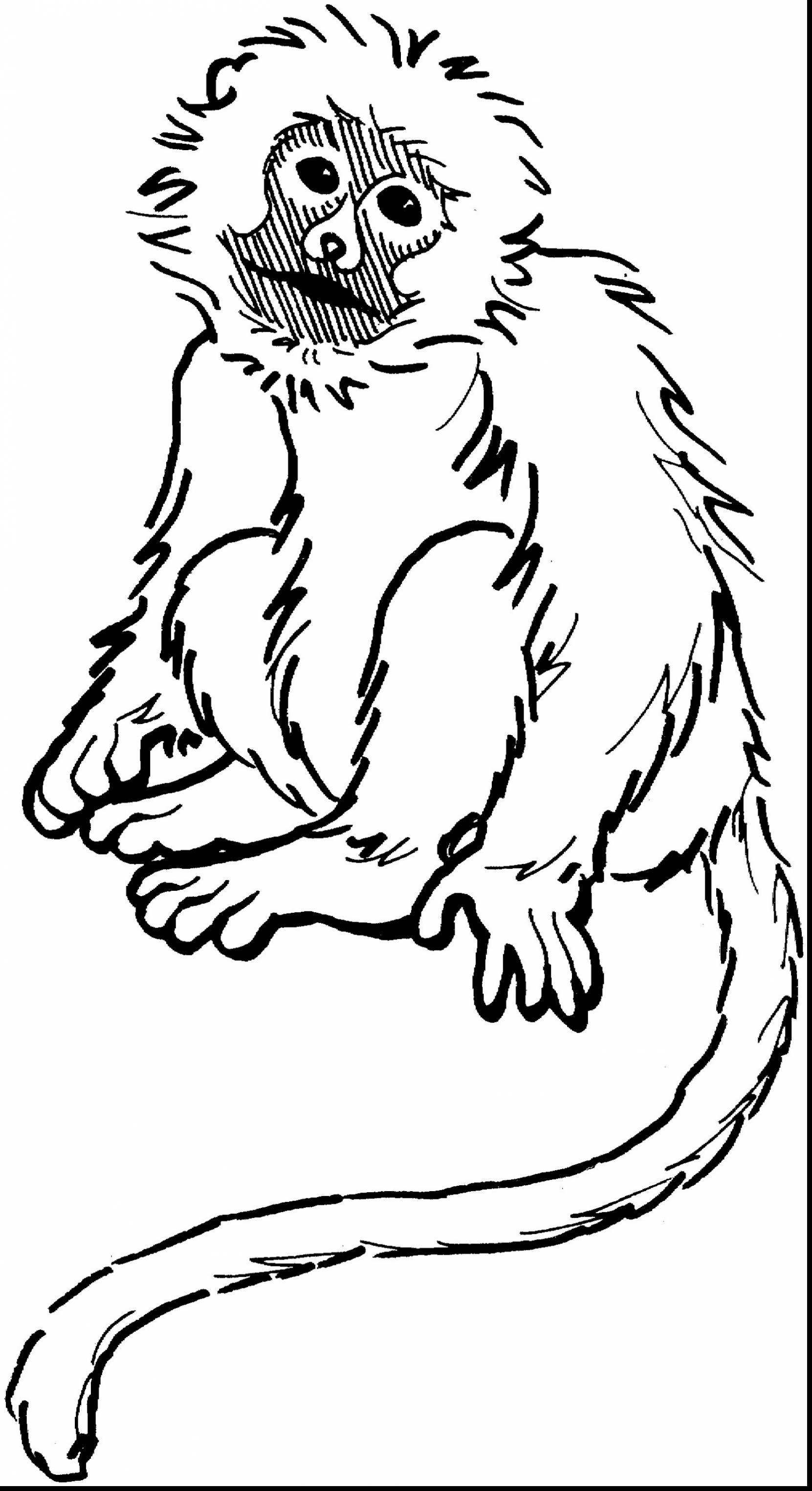 1661x3048 Squirrel Monkey Coloring Pages - Spider Monkey Drawing