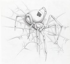 Spider Web Sketch at PaintingValley.com | Explore collection of Spider